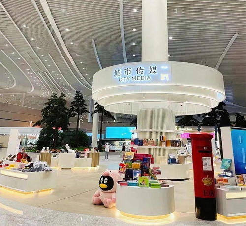 城市傳媒 從青島起飛