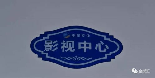 中星文化傳媒
