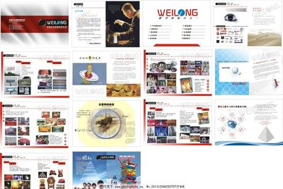 偉隆宣傳冊圖片