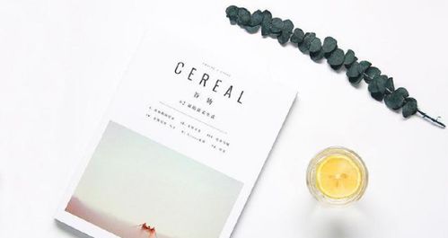 推登傳媒如何能有效地將產品到達買家那里