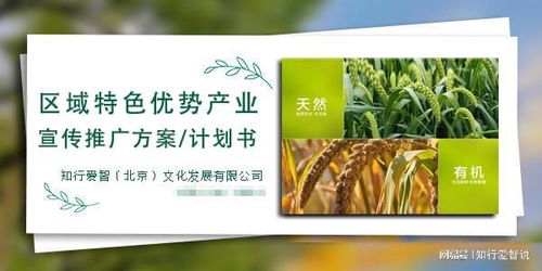 如何打造區域特色產業品牌 打造區域特色產業品牌怎么具體實施